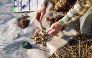 Engineer testing soil